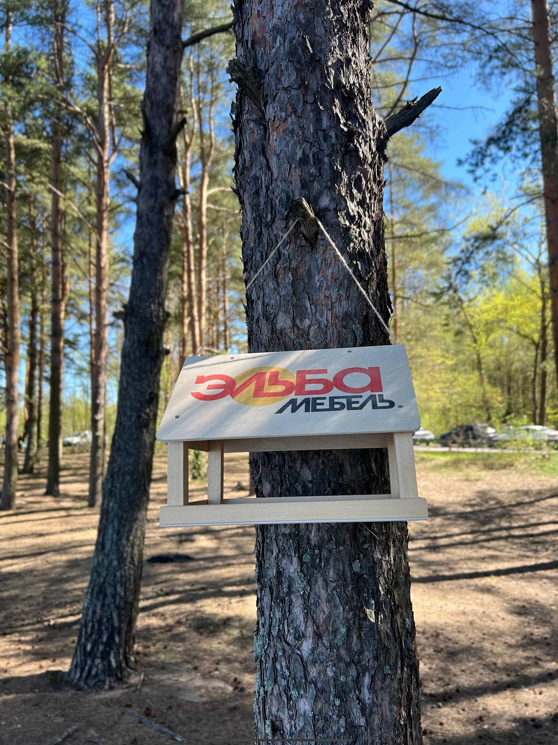 Ежегодная посадка деревьев Ежегодная посадка деревьев