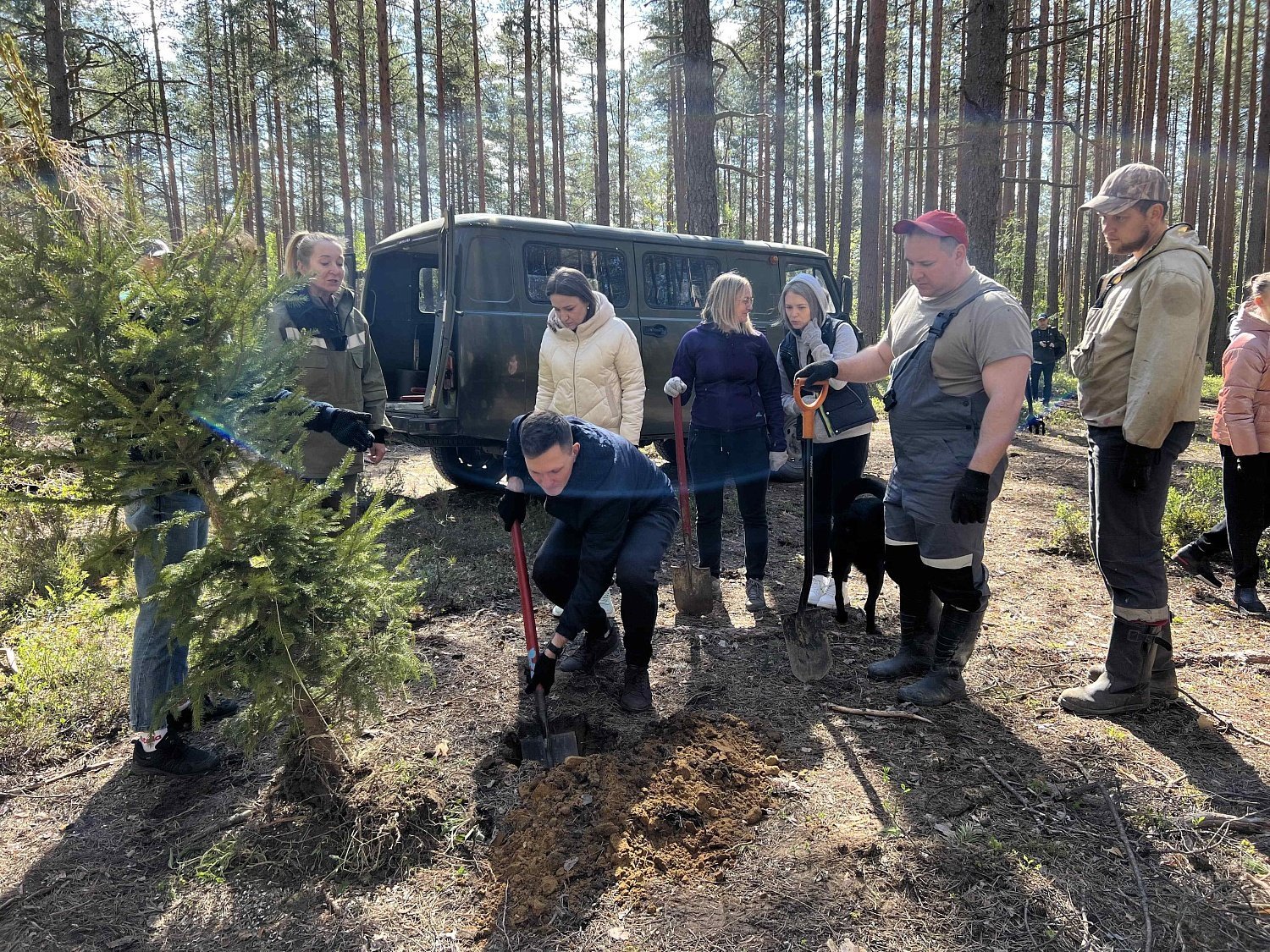 Эко-весна в Эльба Мебель