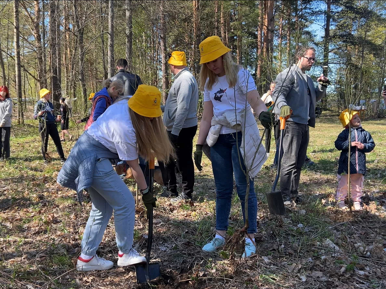Ежегодная посадка деревьев Ежегодная посадка деревьев