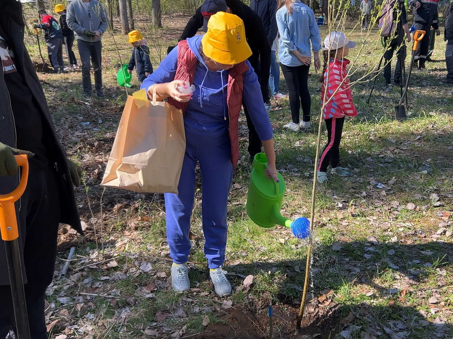 Ежегодная посадка деревьев Ежегодная посадка деревьев