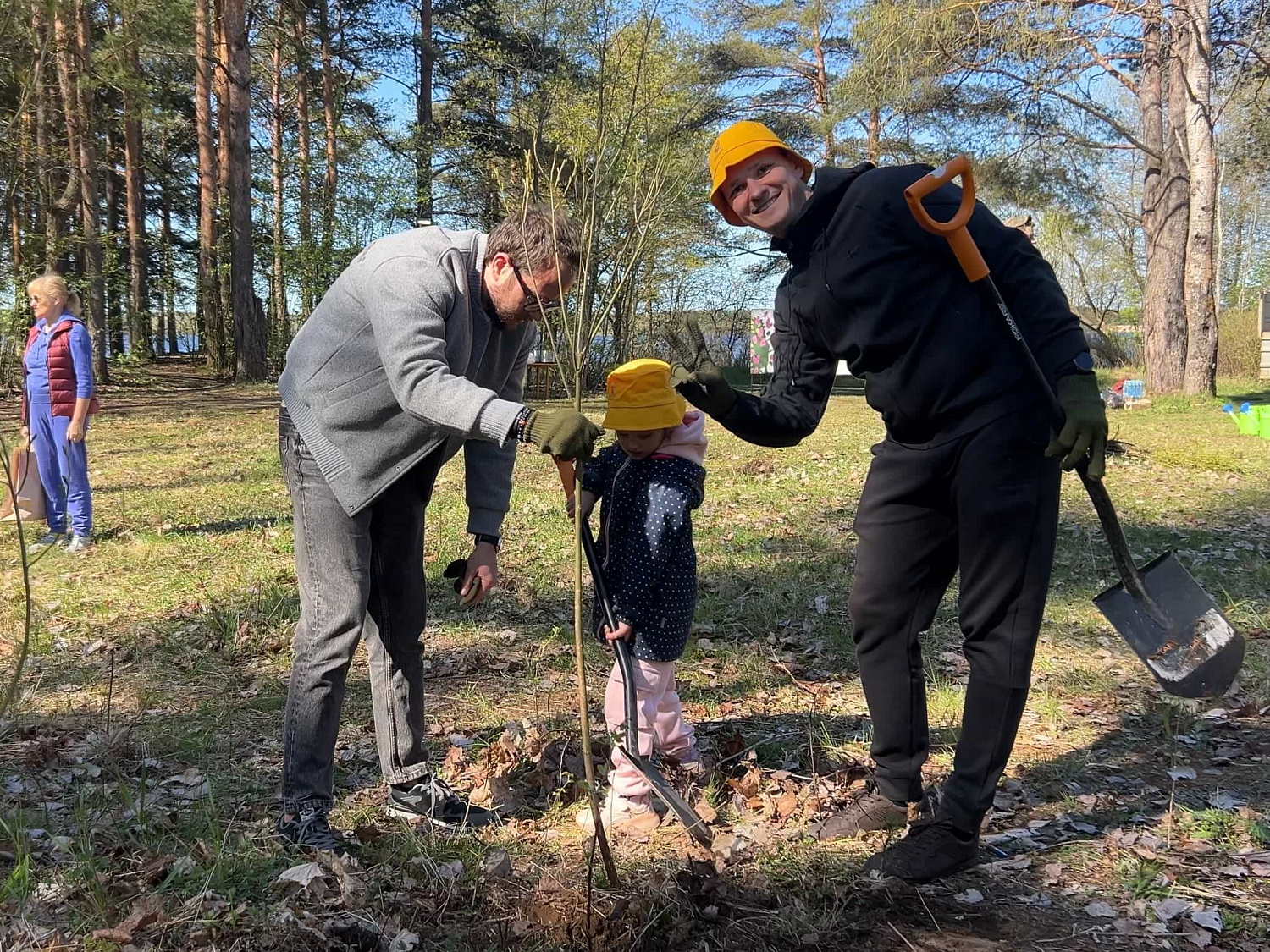 Ежегодная посадка деревьев Ежегодная посадка деревьев
