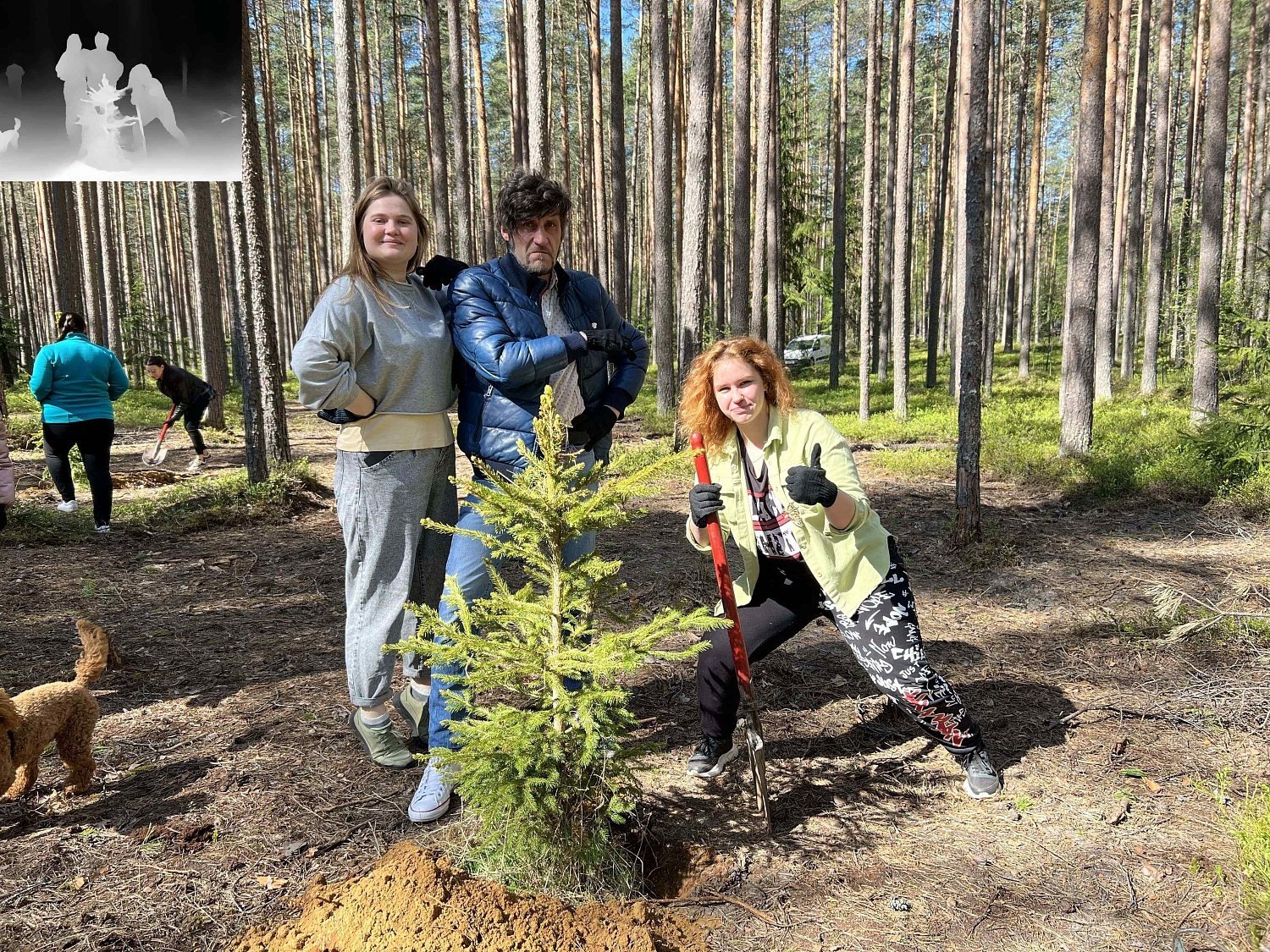 Эко-весна в Эльба Мебель