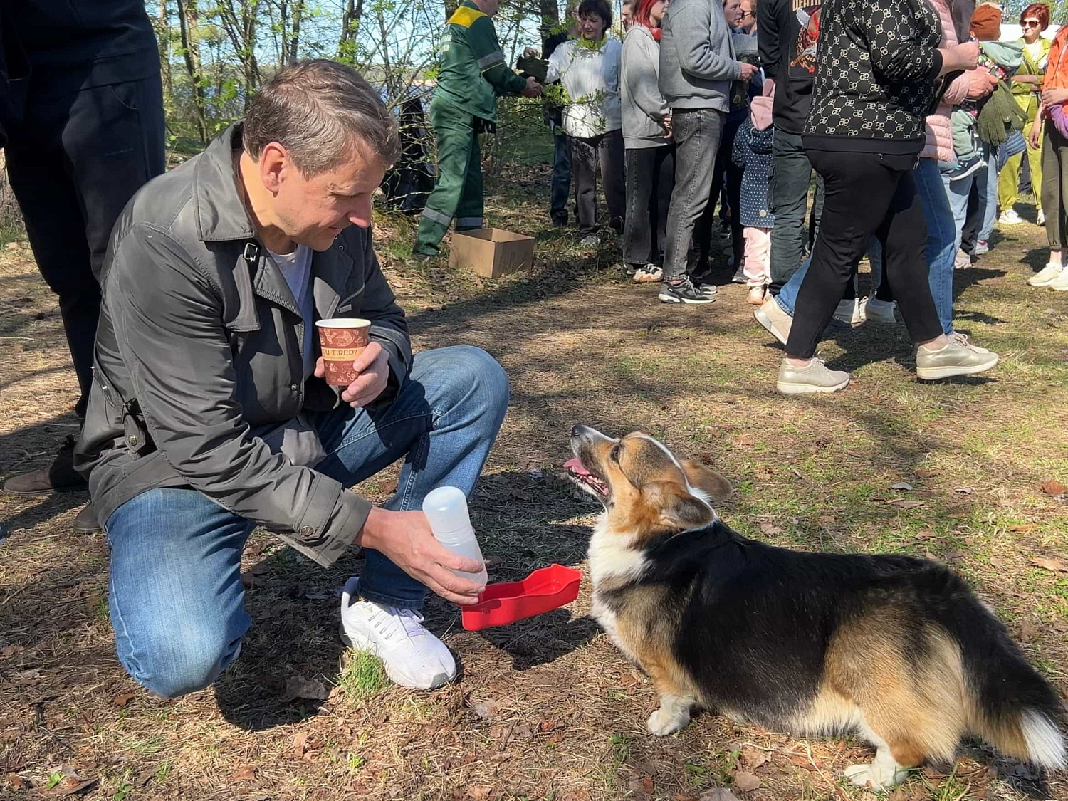 Ежегодная посадка деревьев Ежегодная посадка деревьев